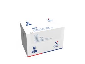 乙型肝炎病毒(HBV) 核酸測定試劑盒