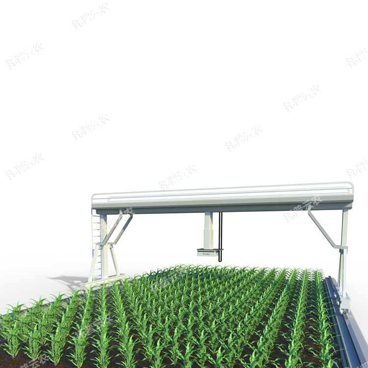 田間高通量植物表型成像系統-植物表型平臺