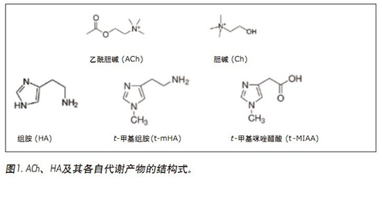 CORTECS UPLC HILICɫV_l(f)һN܉?q)XҺ(CSF)đAMxa(chn)ͬrMжUPLC/MS/MSy