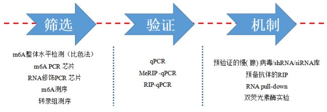 云序生物國內(nèi)獨(dú)家提供RNA修飾測序一站式服務(wù)