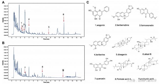 圖3. 超高效液相色譜串聯質譜(UHPLC-MS/MS)鑒定FSGD水提取物溶液