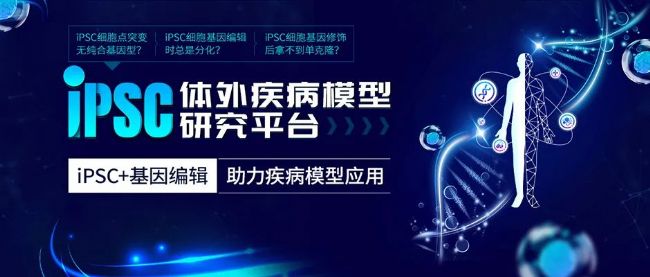 iPSC體外疾病模型研究平臺(tái)