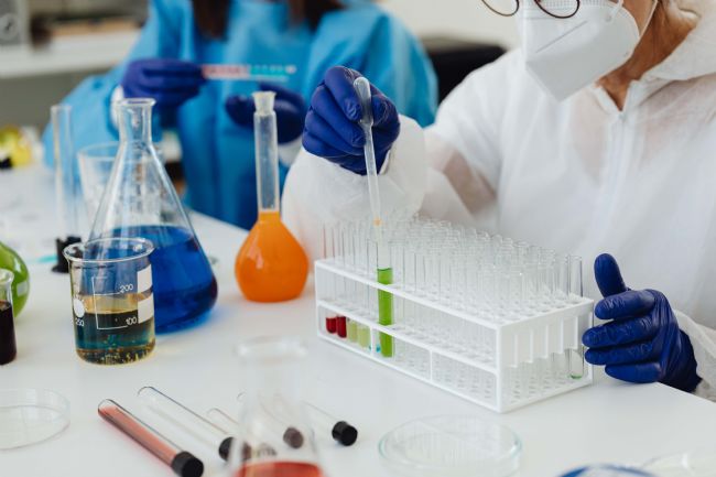 嘌哈受體參與內毒素效應的調節