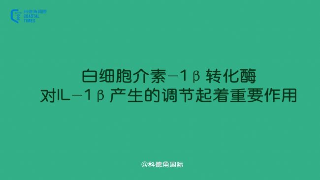 白細胞介素-1β轉化酶對IL-1β產生的調節起著重要作用