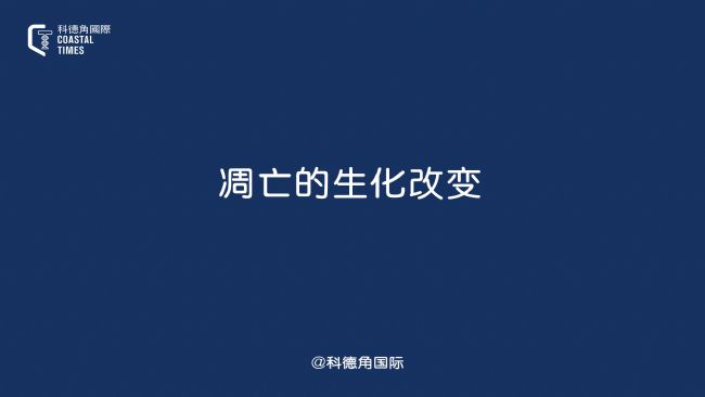 凋亡的生化改變