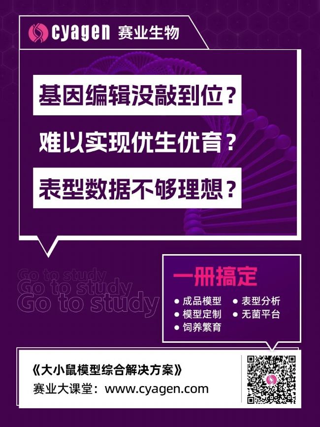 基因編輯載體的構(gòu)建技術(shù)及其應(yīng)用研究